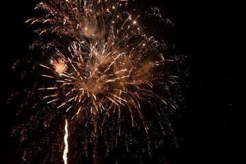 fireworks in the night sky