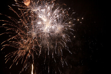 fireworks in the sky