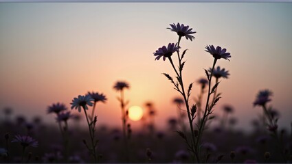 Sunset background with silhouetted wildflowers, warm tones, peaceful nature scene, artistic bokeh effect. Generative, AI,