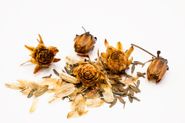 Dried, harvested dahlia seeds.  Chaff, seeds, and dried flower heads on a white background.