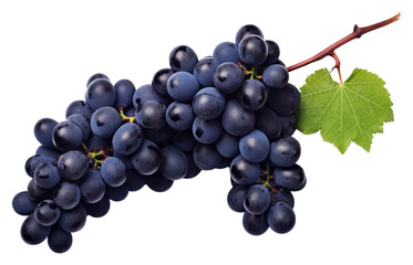 Fototapeta premium PNG Black grape leaves grapes fruit.