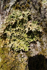 2024.04.21 Gjemnes, Angvika, Hjelset