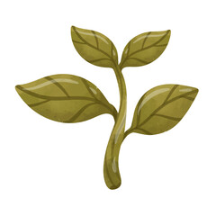 Tropical plant with green leaves illustration vector, plant sprout clip art in hand drawn watercolor style, isolated on white background
