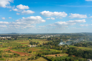 Fototapeta premium Country landscape with palm trees and crop fields seen from an airplane on the outskirts of Havana, Cuba.