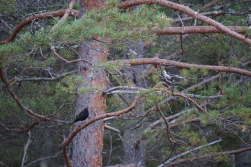 2024.04.29 kristiansund