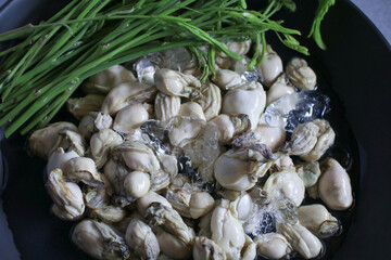 Fresh oysters served with seafood sauce, fried red onion and Acacia leaves on ice in black plate. Healthy sea food