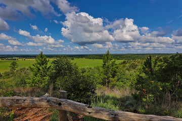 Hilltop overlooking green pastures, livestock, and giant clouds on a spring  morning.