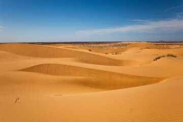 View of sand dunes in the Sonora Desert