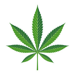 Mariuhana leaf symbol, marijuana or hemp icon, cannabis medical sign, weed drug vector illustration .