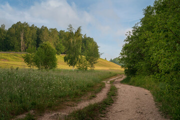 View of the country road through the Izborsko-Malskaya valley on a sunny summer morning, Izborsk, Pechersk district, Pskov region, Russia