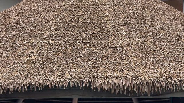 Close up of thatch roof. Roof made from dry grass 