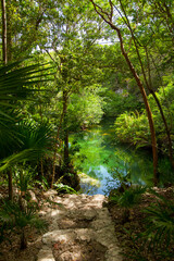 Obraz premium Cenote entrance on the Riviera Maya, Yucatan, Mexico