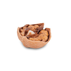Walnut Organic Healthy Nut on White Background. File With Clipping Path.