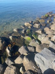 Rocks
