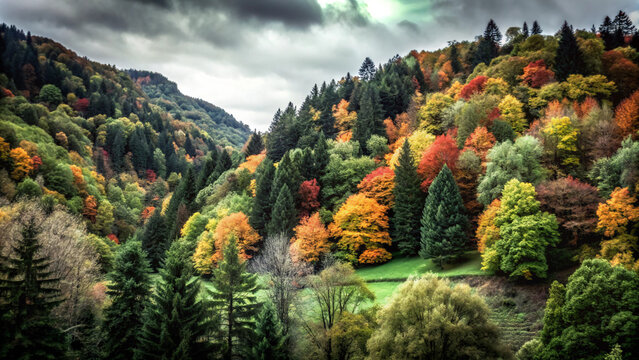 autumn in the mountains. landscape, autumn, nature, forest, tree, fall, sky, mountain, trees, green, park, outdoors, yellow, wood, mountains, leaf, color, summer, hill, grass, woods, view, season, fol