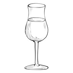 Handdrawn Drink and Beverage Illustration