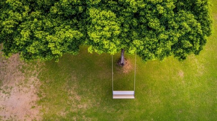 Serene Swing Beneath a Lush Green Tree
