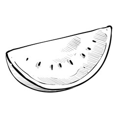 Handdrawn Watermelon Illustration