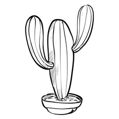 Handdrawn Cactus Illustration