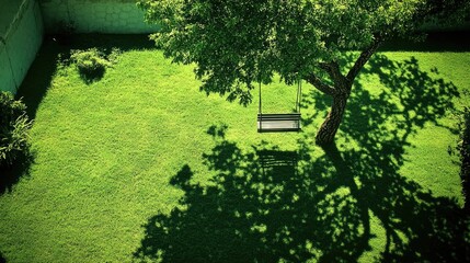 Peaceful Swing Under a Tree in a Green Yard