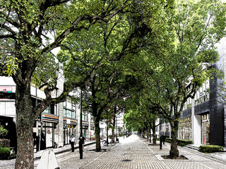 都市と街路樹と歩道