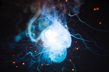 Obraz premium A bright flash of light and a sheaf of sparks in a cloud of smoke. Miniature Universe. Design elements for invitation, wedding cards, greeting cards, Silvester day, christmas decoration.
