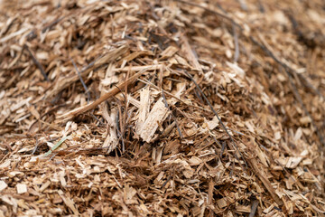 pile of woodchips to spread as mulch or make compost