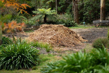 pile of woodchips to spread as mulch or make compost