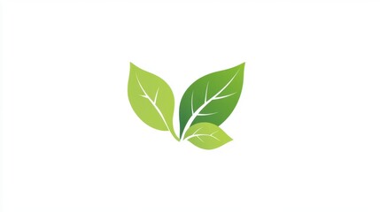 green leaf isolated on white background