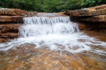 Obraz premium Cascading waterfall in lush green forest