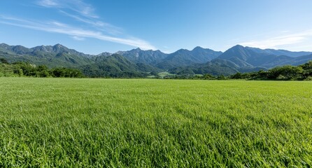 Fototapeta premium Scenic mountain landscape with green meadow