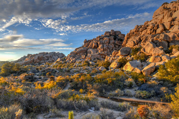 Barker Dam - Joshua Tree National Park