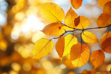 Fototapeta premium capturing the beauty of autumn leaves: a vibrant blend of colors and textures