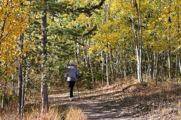 Fototapeta premium Unidentified Hiker in the Fall
