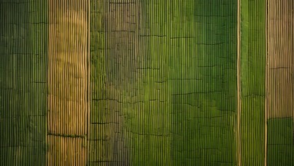 Rich Tapestry of Agricultural Fields Seen from the Sky, Showcasing the Diverse Colors and Textures of Rural Farmland_087