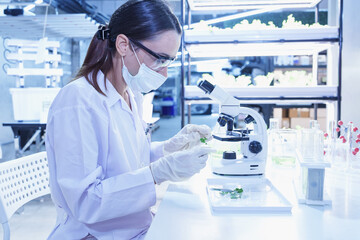 Female scientist in lab coat and gloves analyzing plant sample under microscope in laboratory. A...