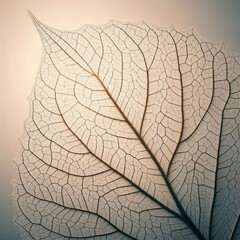 Obraz premium Close-up of a leaf's intricate structure, revealing a network of delicate veins against a soft, pale backdrop. The translucence highlights the texture, with fine lines creating a web-like pattern.