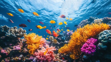 Fototapeta premium A vibrant underwater scene with colorful coral reefs and fish swimming in a clear blue ocean.