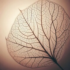 Obraz premium Close-up of a leaf's intricate structure, revealing a network of delicate veins against a soft, pale backdrop. The translucence highlights the texture, with fine lines creating a web-like pattern.