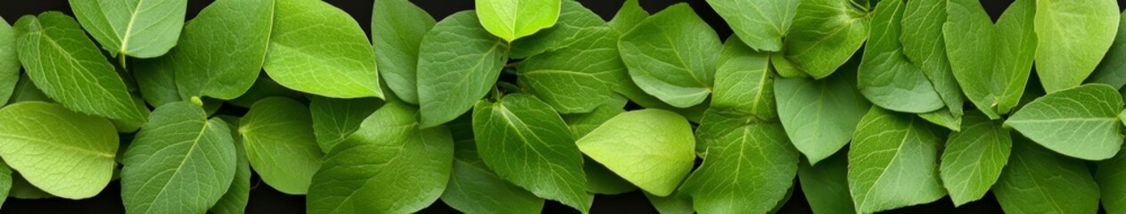 Obraz premium Fresh Green Leaves Close Up for Natural Backgrounds