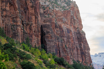 Rock climbers in Zion