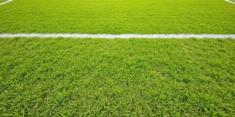 Soccer field with vibrant green grass and crisp white chalk lines, sports