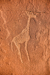 Bushman Rock Engravings - Namibia