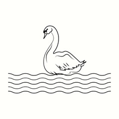 line drawing of swan on water line art vector illustration