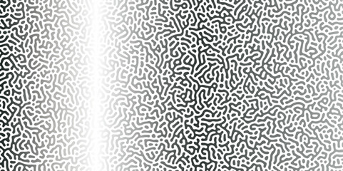 Abstract Reaction-diffusion Turing pattern natural texture Silber gradient color scheme. Linear design with biological algorithm psychedelic background. Reaction-diffusion or truing patter