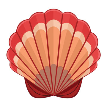 red and orange seashell isolated clip art preview