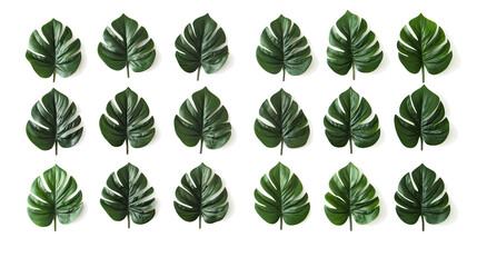 Arrangement of Tropical Leaves Isolated on a Transparent Background Generative AI