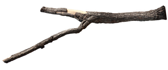 Natural branches, solitary branches, branches for trees.