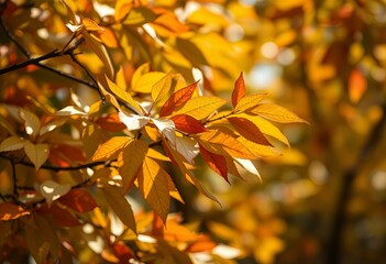 Obraz premium Leaves blowing in the wind.