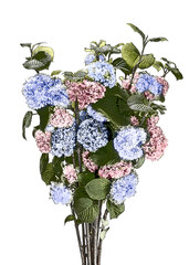 あじさい２色咲き